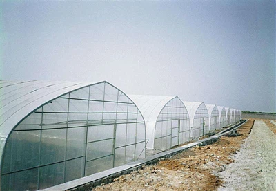 Vælg drivhusplast efter din plantes behov